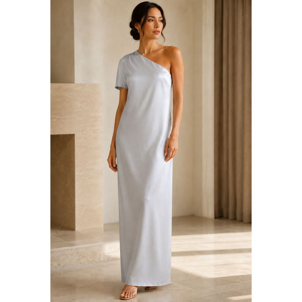 Banana Republic Monogram Silk One-Shoulder Silver Maxi Dress Sz 2